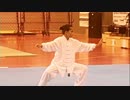 格闘技コンテスト Germany Nettetal 2018 ドイツ Martial Arts Wu Shu Open with Douwe Geluk