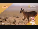 どうぶつ紹介まとめ 1～6話