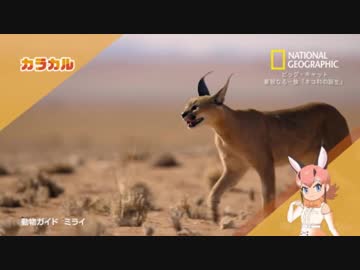 どうぶつ紹介まとめ 1～6話