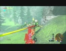【実況】完全初見のゼルダの伝説ブレスオブザワイルドpart31