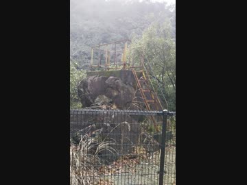 【お節分】ゆっくり　旧福知山線廃線跡攻略RTA外伝