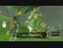【ボックリン】ゼルダの伝説　ブレスオブザワイルド　-The Legend of Zelda Breath of the Wild-【実況part19】