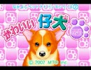 かわいい仔犬　ペットショップ BGM