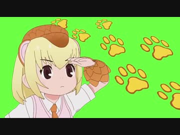 近付いてくるキツツキが激突