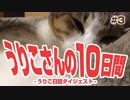 うりこさんの10日間 - 2019#3