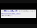 蠍媛さん、自分のスレを監視して偽装動画を削除する