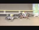 2019年2月19日船橋競馬11R 駿麗賞(A2以下) ベイビータピット