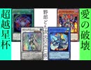 野郎ども次元DUEL(仮) Part-195【蒼凰神の威風】