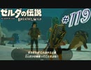 新作ゼルダを風タクしかやったことないうp主がプレイしてしまった part119