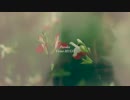【Lily】Si mes vers avaient des ailes【オリジナルMV】