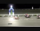 2019年2月19日高知競馬8R パンジー特別(C3-1組) マディディ