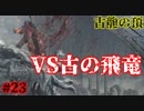 ダークソウル３・終わる世界　#23　～ソウルシリーズツアー４章～