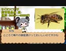 ムシカス★☆☆☆☆☆☆☆☆☆