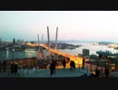 【ロシア旅行記・Russia Travel・Русское путешествие】ウラジオストク(Vladivostok・Владивосток)観光、スーパーで買物＆鷲の巣展望台で夜景を一望編