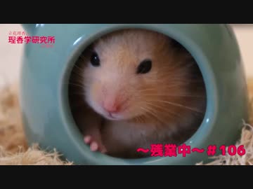 立花理香の理香学研究所-広報室- ～残業中～ 第106回