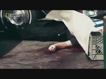 治安レイプ！暴徒と化した黒人