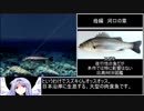 川のぬし釣り～秘境を求めて～ 影のぬし釣りRTA 4時間32分7.1秒 part2/6