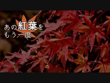 【ニコニコメドレー】あの紅葉をもう一度