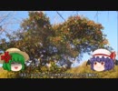 ゆっくり農民100畑を拓いてみませんか？#22