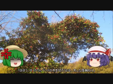 ゆっくり農民100畑を拓いてみませんか？#22