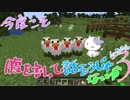 【Minecraft】今度こそ腹を割って話そうじゃないか【実況してみる】 Part３
