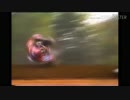 Motorsport crash collection 11
