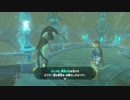 【実況】完全初見のゼルダの伝説ブレスオブザワイルドpart33