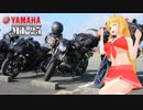 【KLX125】新弦巻マキと名所探訪 第21話「2018年年越しツーリング編その①」