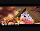 【二輪車載】あの道のむこうへ #1「笹下釜利谷道路 ～ 佐助稲荷神社」
