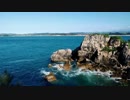 大迎卓也　View Of Ocean Cliff