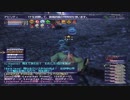 FF11   赤盾でウナギ漁
