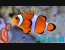 迫真海水水槽部　マリンアッー！クアの裏技.mp4