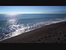 和田勝海　Relaxing View Of The Sea