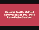 Mold Removal in Boston MA