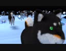 合せ鏡黒井しば3D