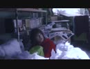 SHE IS SUMMER - 君をピカソの目でみたら