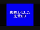 蜘蛛と化した先輩BB