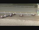 2019年2月21日船橋競馬9R 今夜も第９Ｒプレミアムポイント３倍賞(B1・B2選抜馬イ) マッサンゴールド