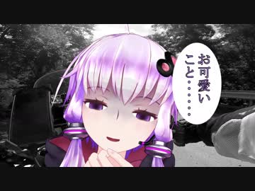 [ゆかマキ車載]VFR800Fと行く～ふらっとツーリング紀行～　北海道編[part4] 完