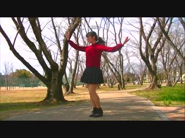 【ぼんぼり】Lamb.【踊ってみた】