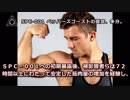 SPC-001 ペッパーズゴーストの提言、多分。