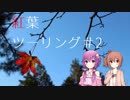 【ゆかさら車載】GROMでも車載動画がしたい#4【紅葉ツーリング#2】