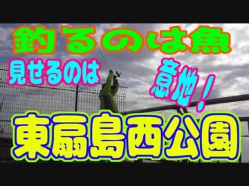 釣り動画ロマンを求めて 231釣目（東扇島西公園）