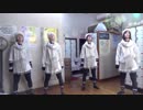 【火男おはる】Purely＆Kindly【踊ってみた】
