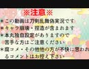 狐と獅子の反省遠征記録【第14回】