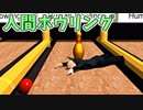 人間でボウリングした方がストライクとりやすい。