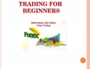 Online Forex Trading for Beginners by Go Markets