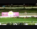 【ユウチェンジ出走】2019.2.22 IRISH THOROUGHBRED MARKETING CUP (QA Gr 2)