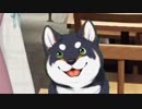獲物を狙うエロ犬の眼