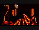 【スーパードンキーコング２】102％完全クリアを目指すpart10【実況】